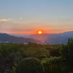 Quinta De Casalmato - Douro Valley