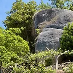 Quinta De Casalmato