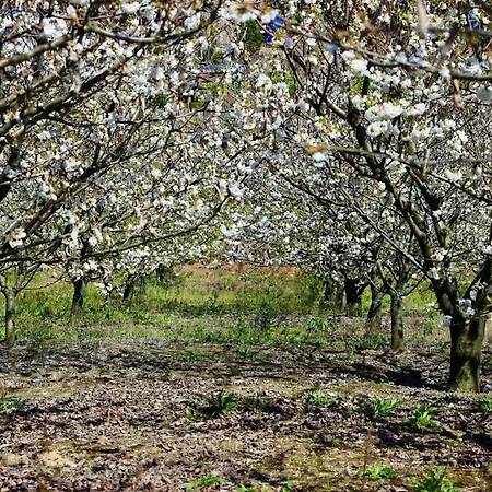 Quinta De Casalmato Resende