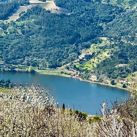 Quinta De Casalmato - Douro Valley