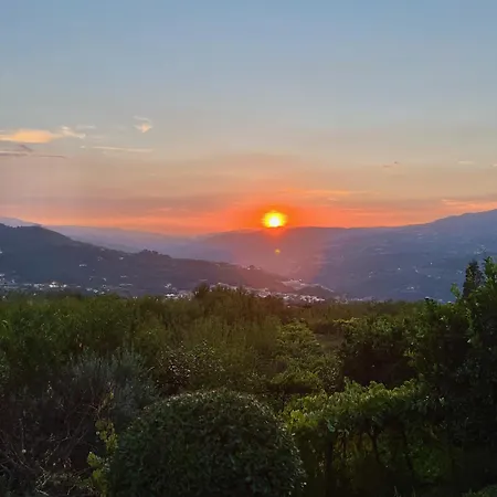 Quinta De Casalmato