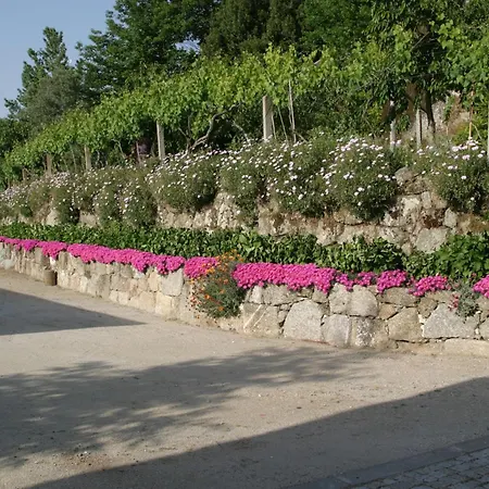 Quinta De Casalmato - Douro Valley