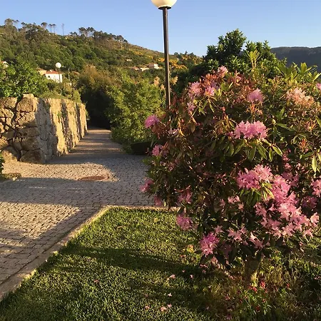 Quinta De Casalmato * רסנדה