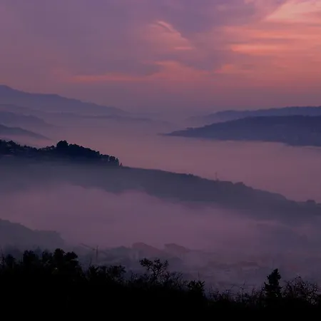 Quinta De Casalmato Resende