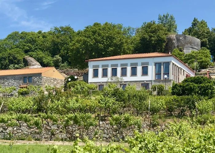 Çiftlik konaklama Quinta De Casalmato - Douro Valley
