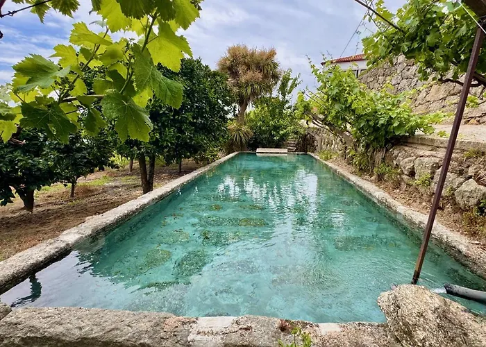 Çiftlik konaklama Quinta De Casalmato - Douro Valley Resende