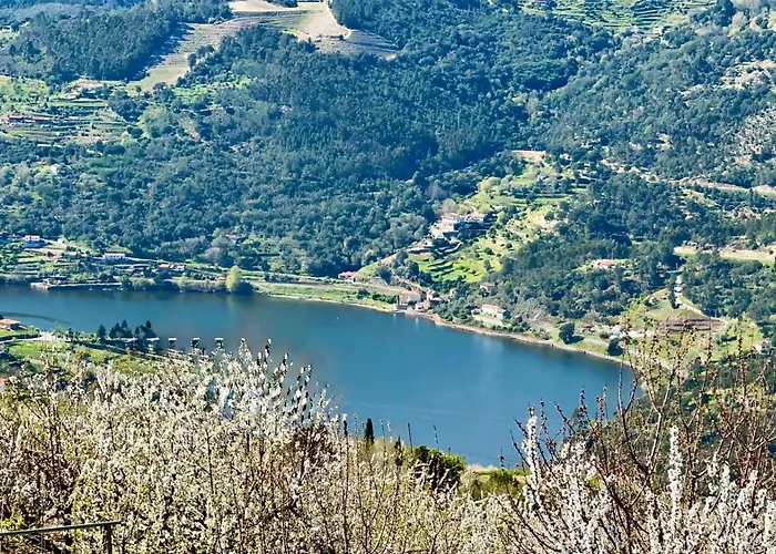 Quinta De Casalmato - Douro Valley