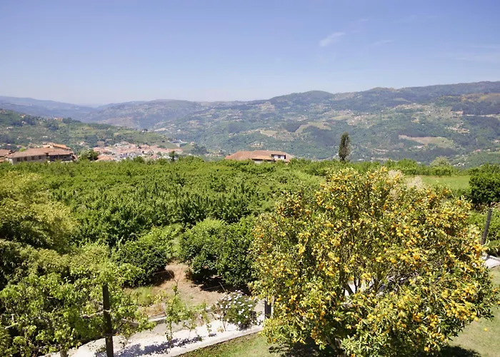 Quinta De Casalmato - Douro Valley * Resende