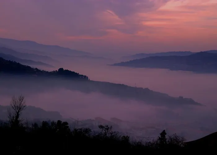 Quinta De Casalmato - Douro Valley 雷森迪